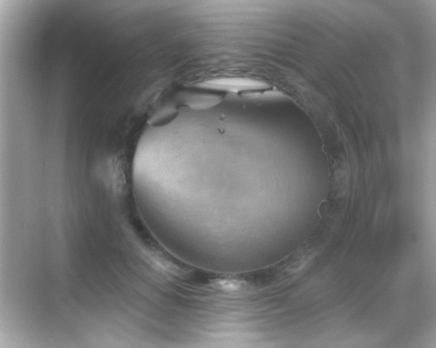 X0000068850654200605051214