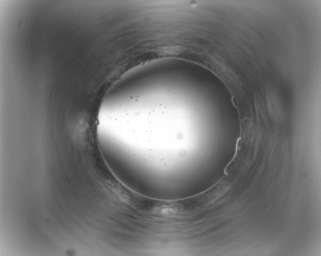 X0000068850655200605051214