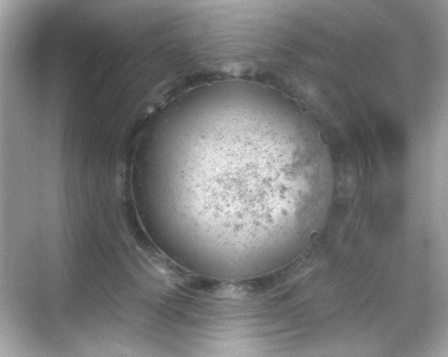 X0000068850656200605051214