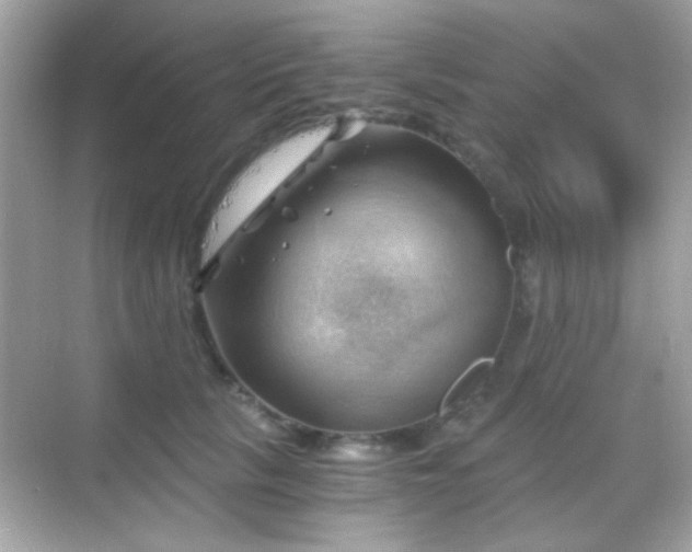 X0000068850657200605051214