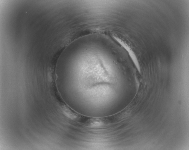 X0000068850658200605051214