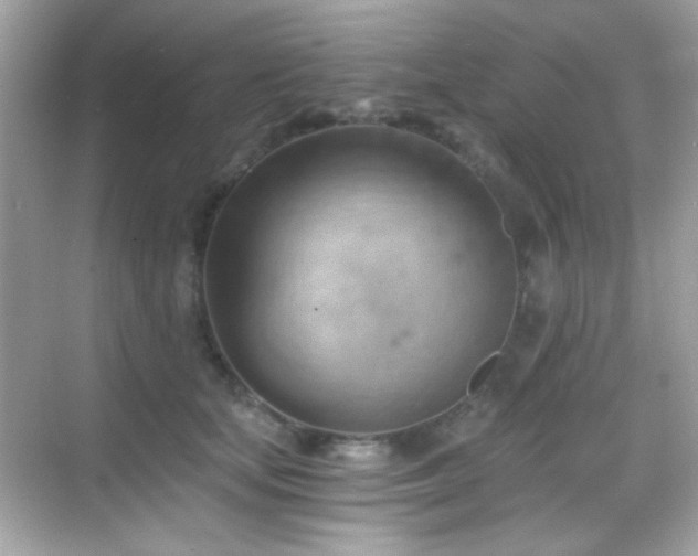 X0000068850659200605051214