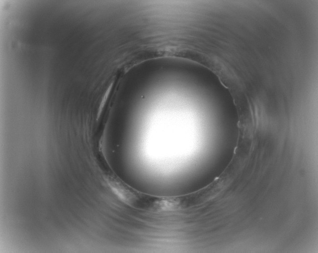 X0000068850660200605051214