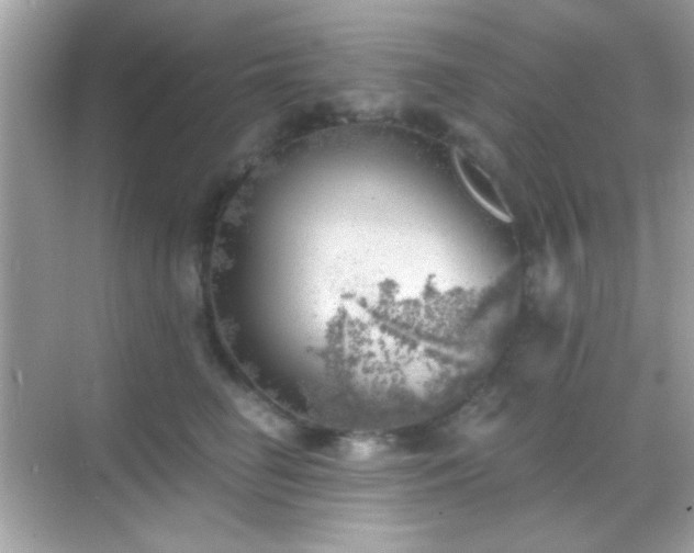 X0000068850662200605051214