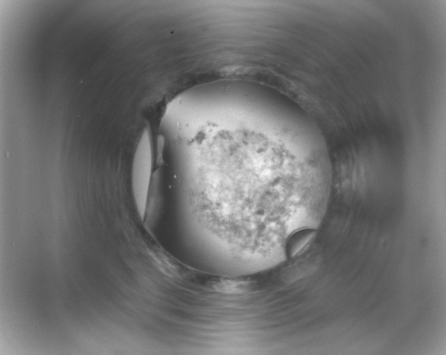 X0000068850664200605051214