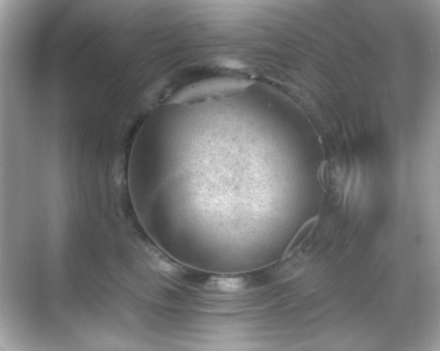 X0000068850665200605051214