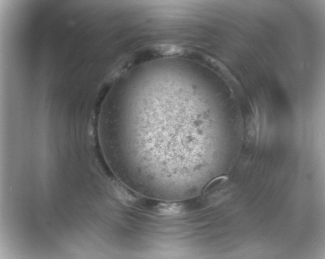 X0000068850667200605051214