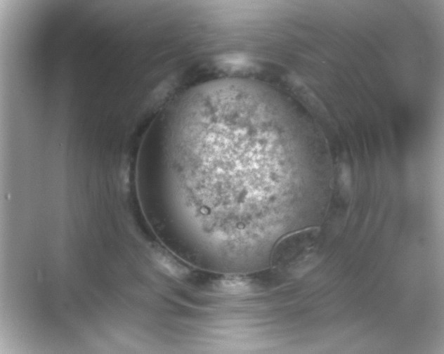 X0000068850668200605051214