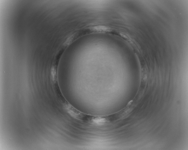 X0000068850669200605051214