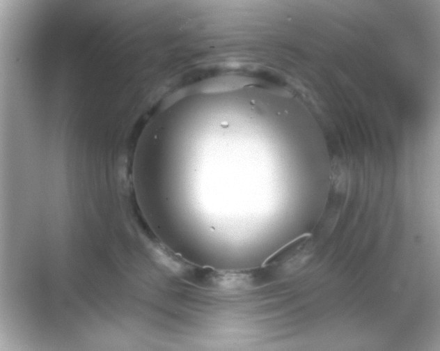 X0000068850670200605051214