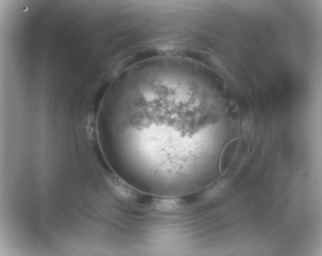 X0000068850671200605051214