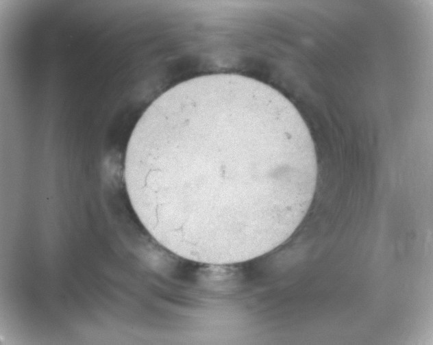 X0000068850672200605051214