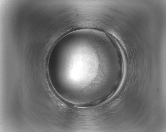 X0000068850673200605051213