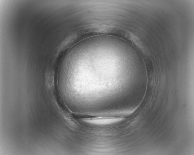 X0000068850685200605051213