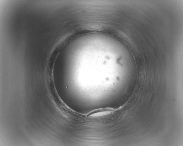 X0000068850688200605051213