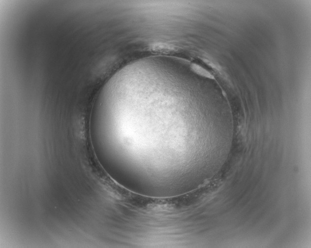 X0000068850689200605051213