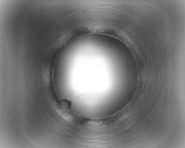 X0000068850690200605051213