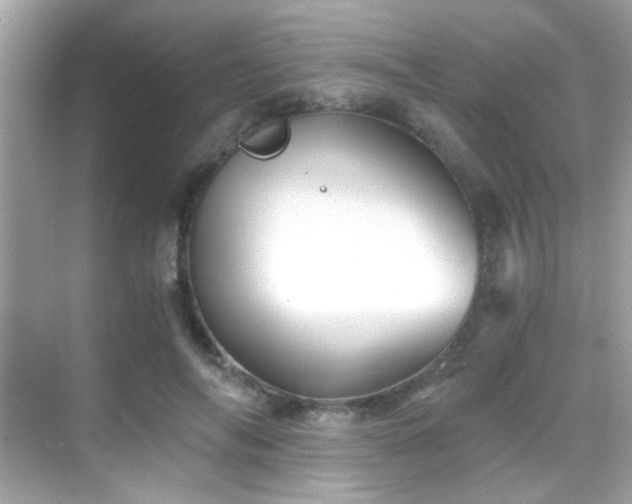 X0000068850694200605051213