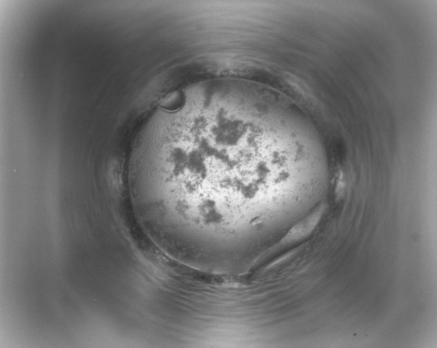 X0000068850695200605051213