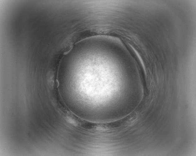 X0000068850697200605051213