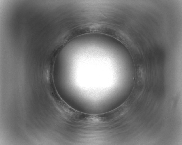 X0000068850698200605051213