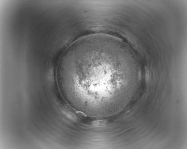 X0000068850700200605051213