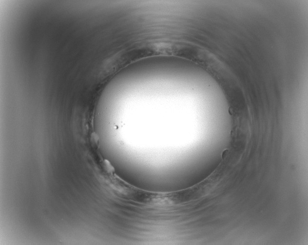 X0000068850702200605051213