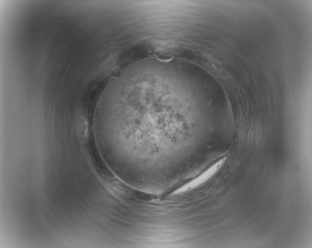 X0000068850703200605051213