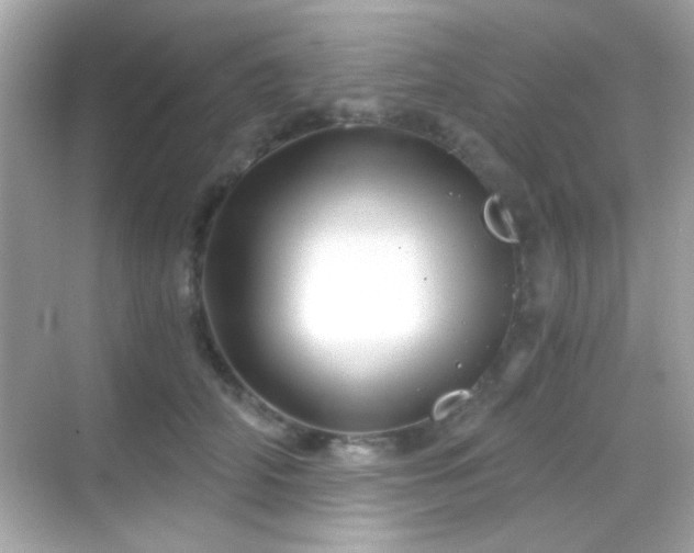 X0000068850706200605051213