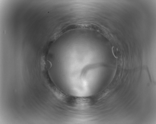 X0000068850707200605051213