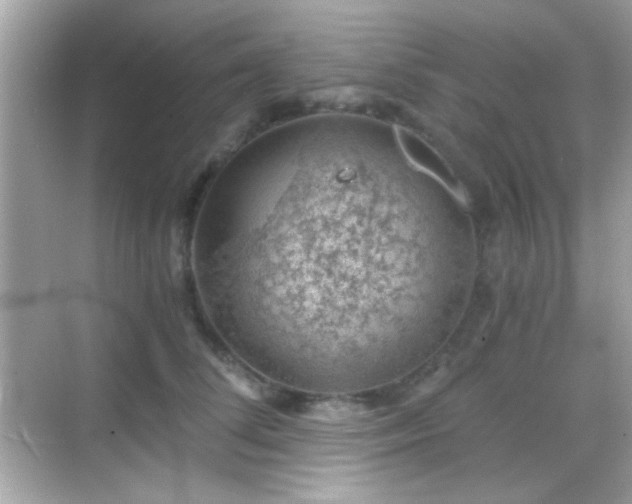 X0000068850708200605051213