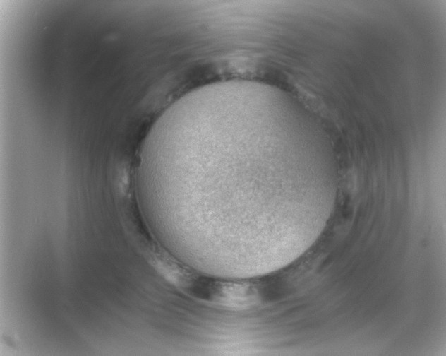 X0000068850709200605051213