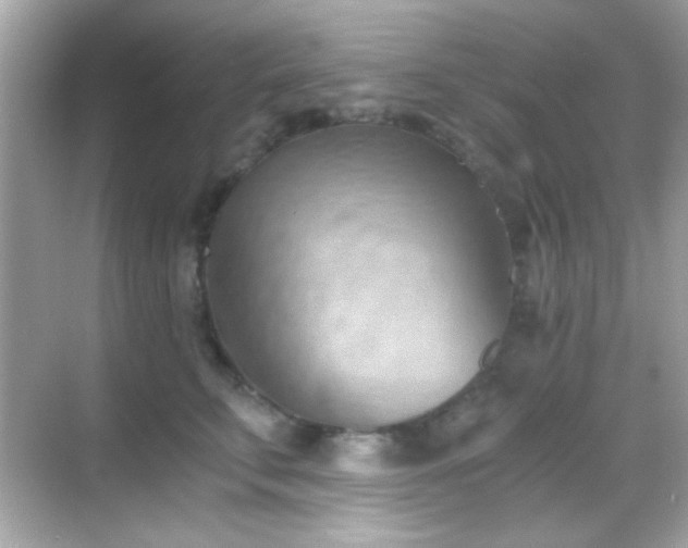 X0000068850711200605051213