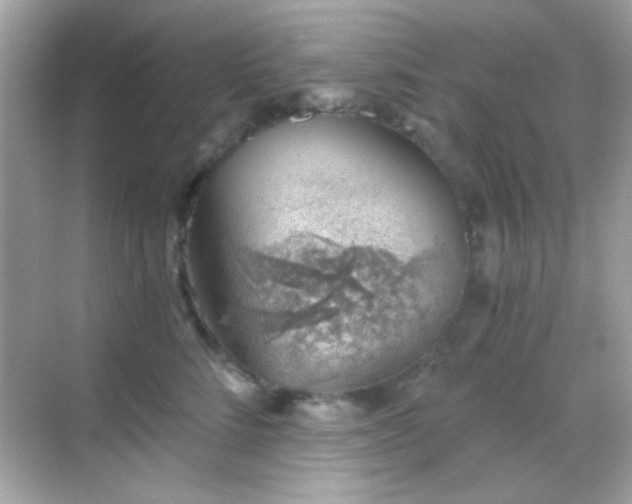 X0000068850712200605051213