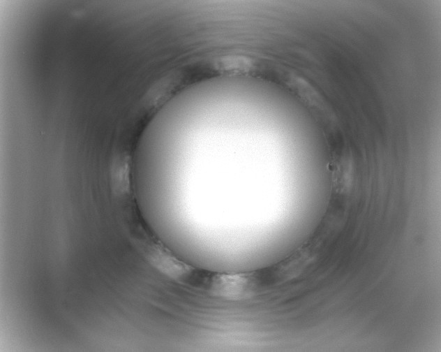 X0000068850717200605051213