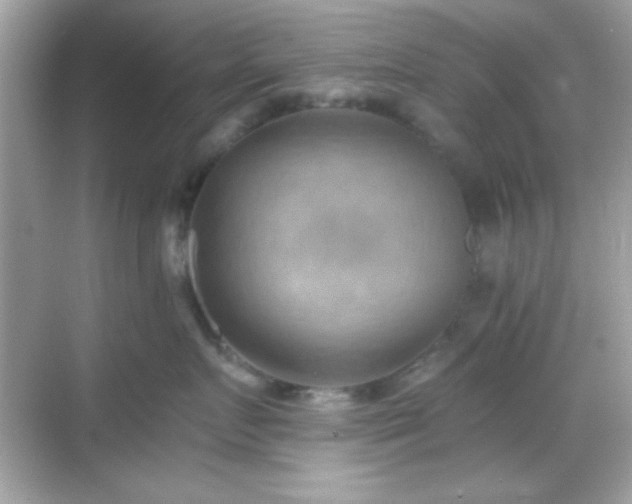 X0000068850719200605051212