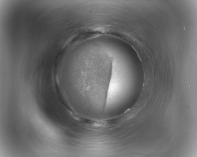 X0000068850720200605051212