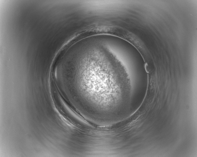 X0000068850722200605051212