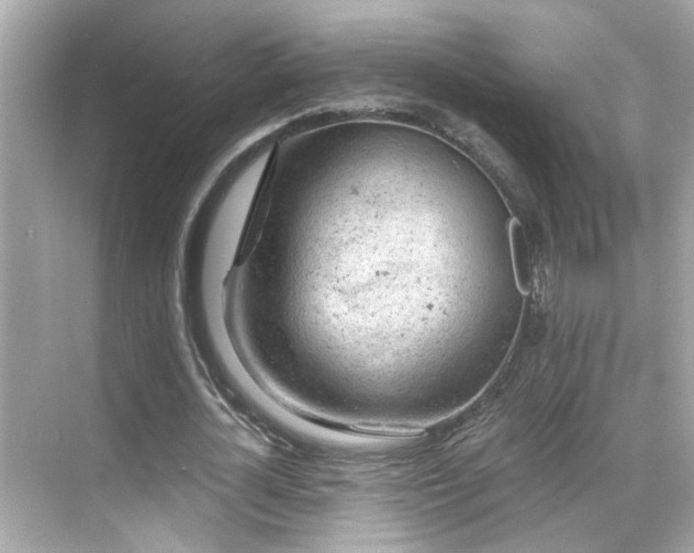 X0000068850724200605051212