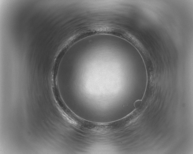 X0000068850725200605051212