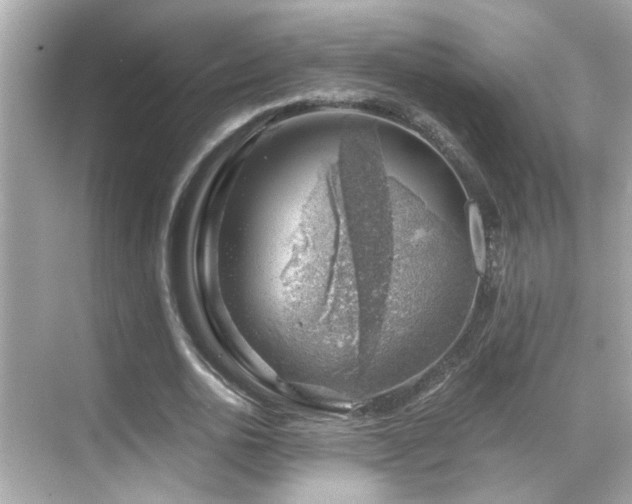 X0000068850726200605051212