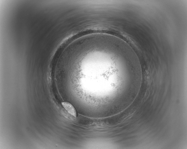 X0000068850727200605051212