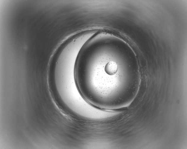 X0000068850728200605051212