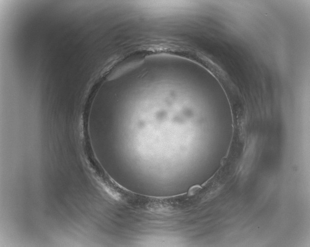 X0000068850729200605051212