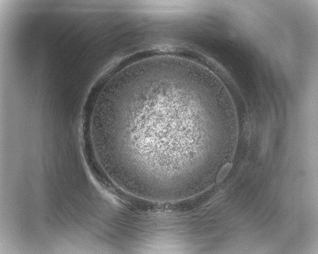 X0000068850730200605051212