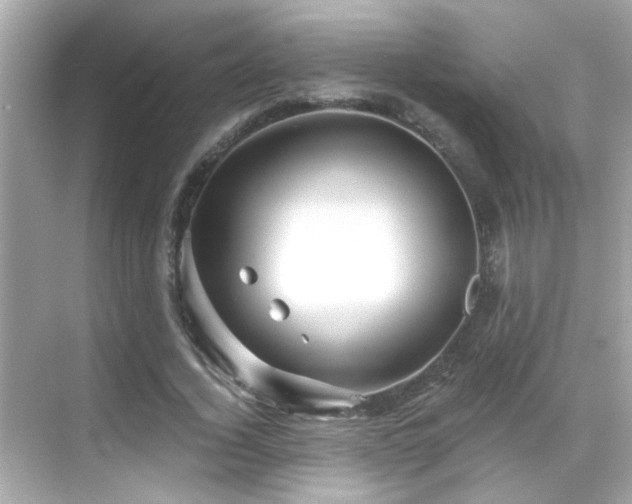 X0000068850732200605051212