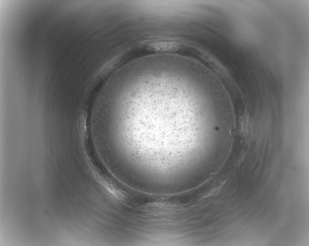 X0000068850733200605051212