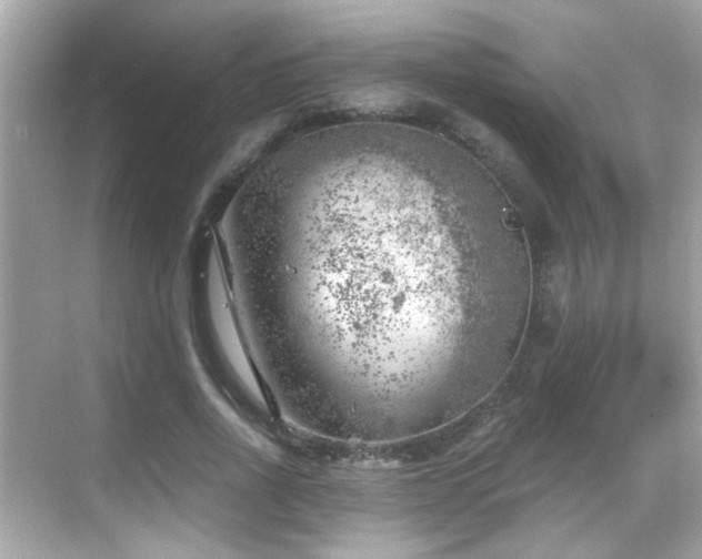 X0000068850734200605051212