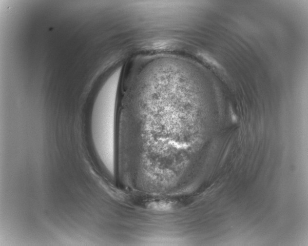 X0000068850735200605051212