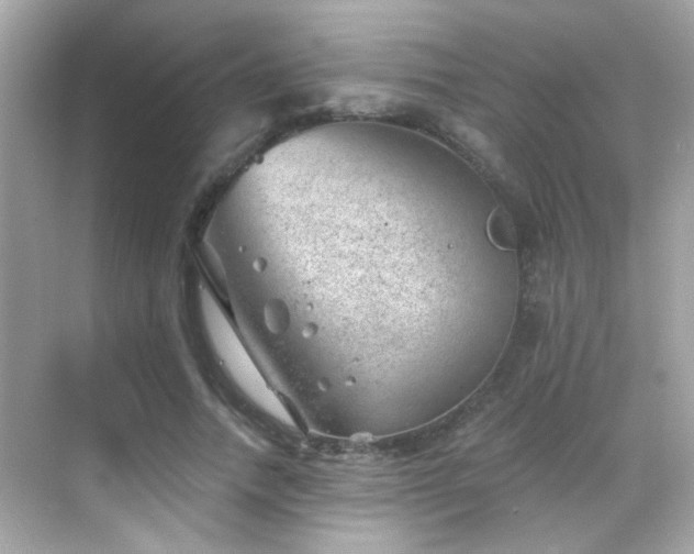 X0000068850738200605051212